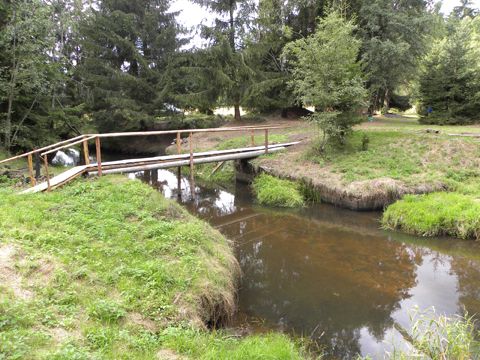 Foto 13